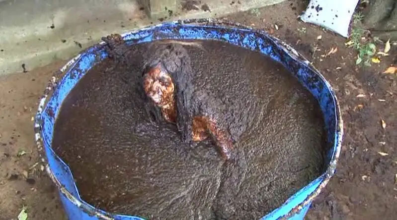 ❤Cow shit Vol.02の詳細ページ。